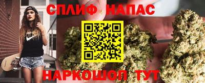 стафф Малоярославец